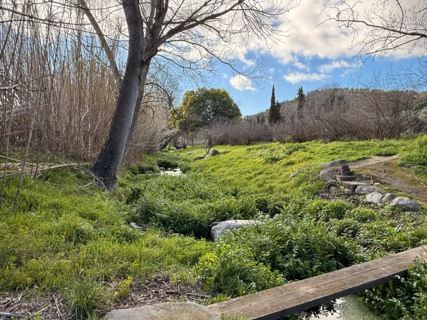 Finca rústica en venda a Agullana