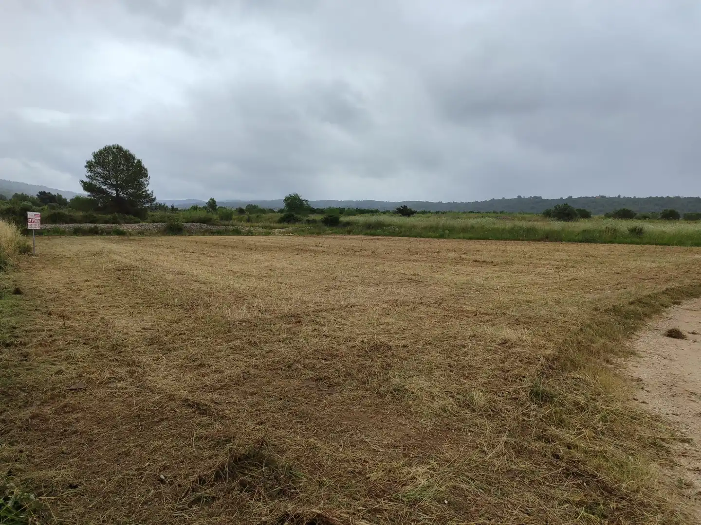 Rural land for sale in Benigànim, imagen 5