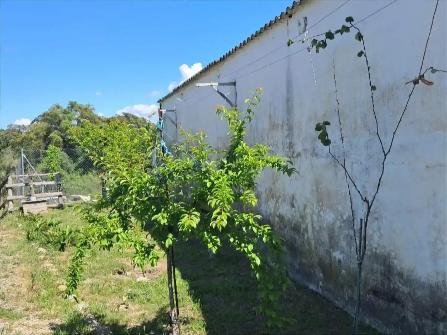 Pis en venda en Navalmoral de la Mata amb Aire condicionat, Jardí privat i Traster