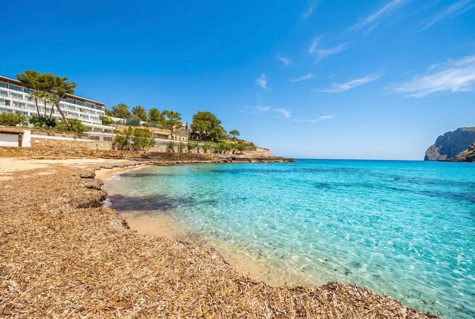 Exterior view of Apartments for sale in Pollença  with Private garden, Terrace and Furnished