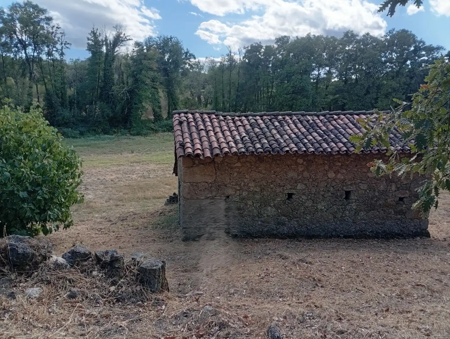 Terreni e lotti in vendita a Villanueva de la Vera, imagen 47