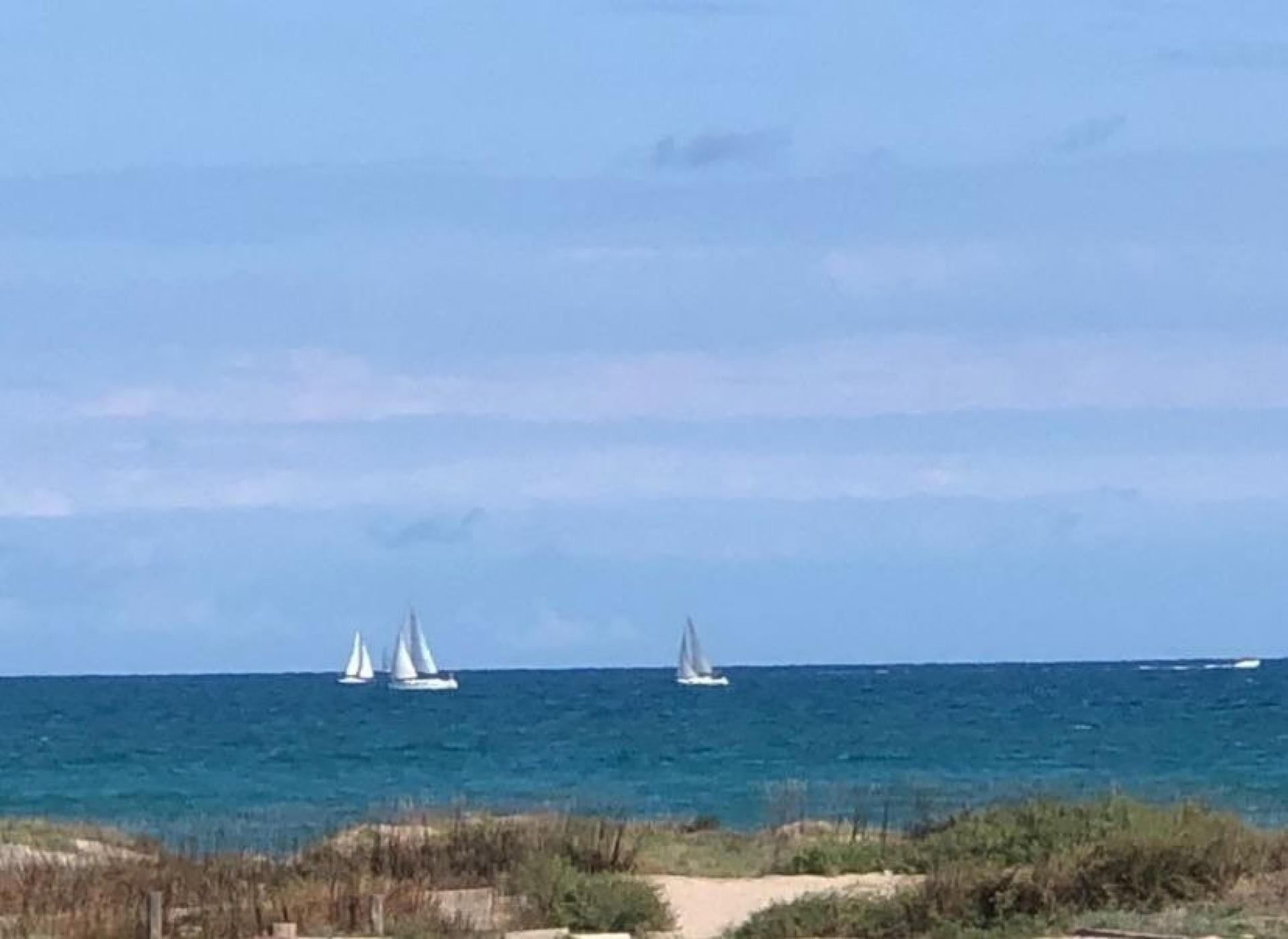 Exterior view of Apartments for sale in  Valencia Capital  with Community pool