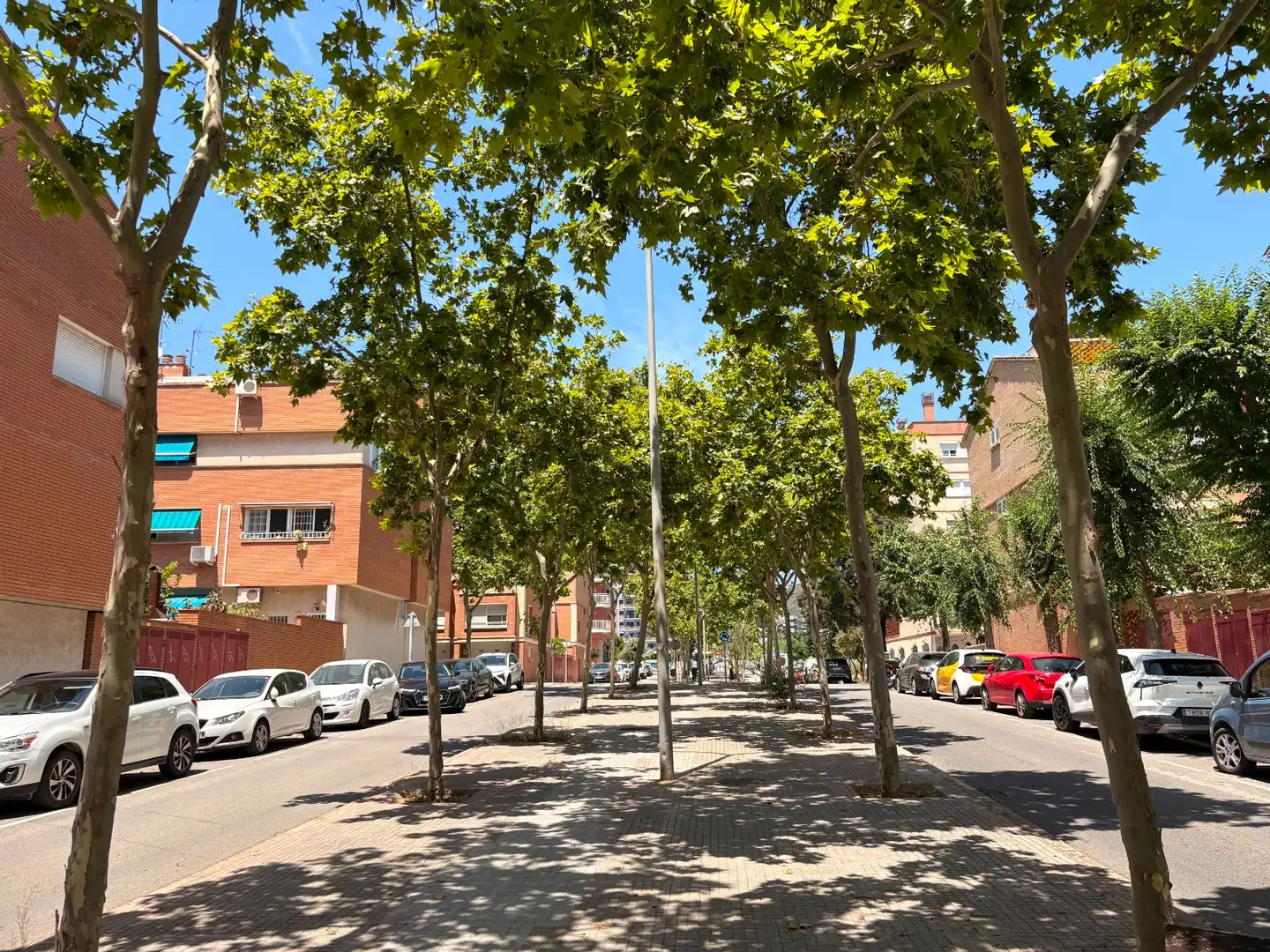 Local commercial en cession à Torre-roja-Campreciós, imagen 17