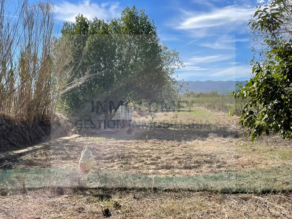 Rural land for sale in Calle Bordeta, imagen 12