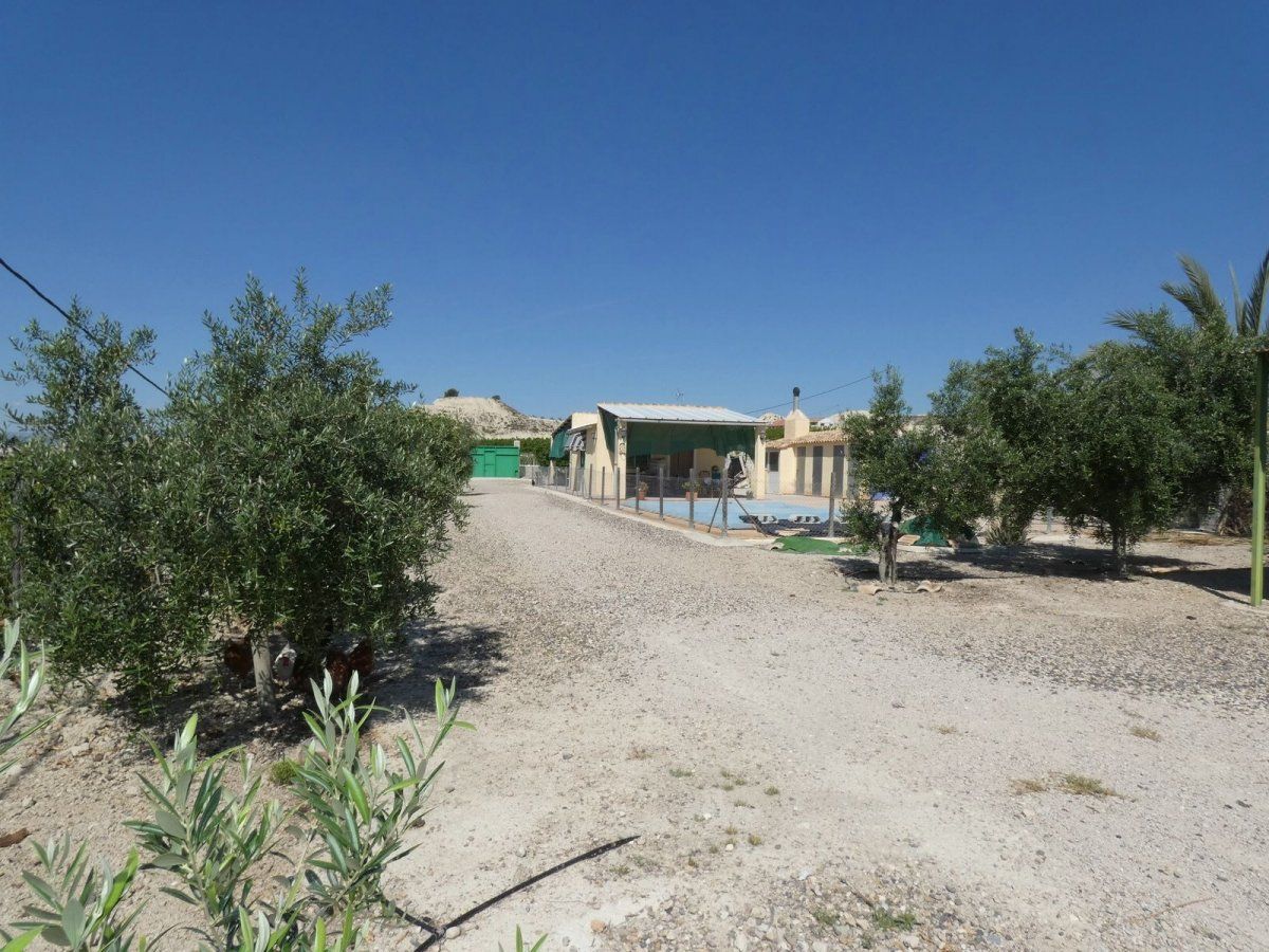 Vista exterior de Casa o chalet en venta en Alguazas con Jardín privado, Trastero y Piscina