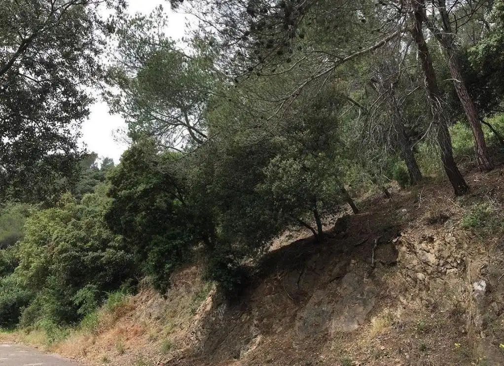 Terreny rústic en venda a LLICORELLA (DE LA), imagen 5