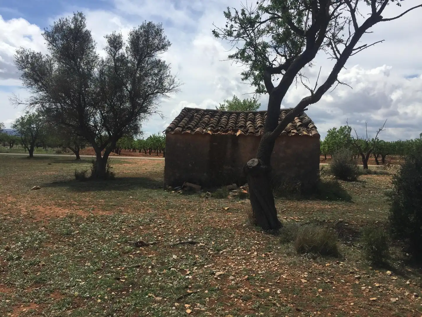 Casa rústica en venda a Vall d'Alba, imagen 7
