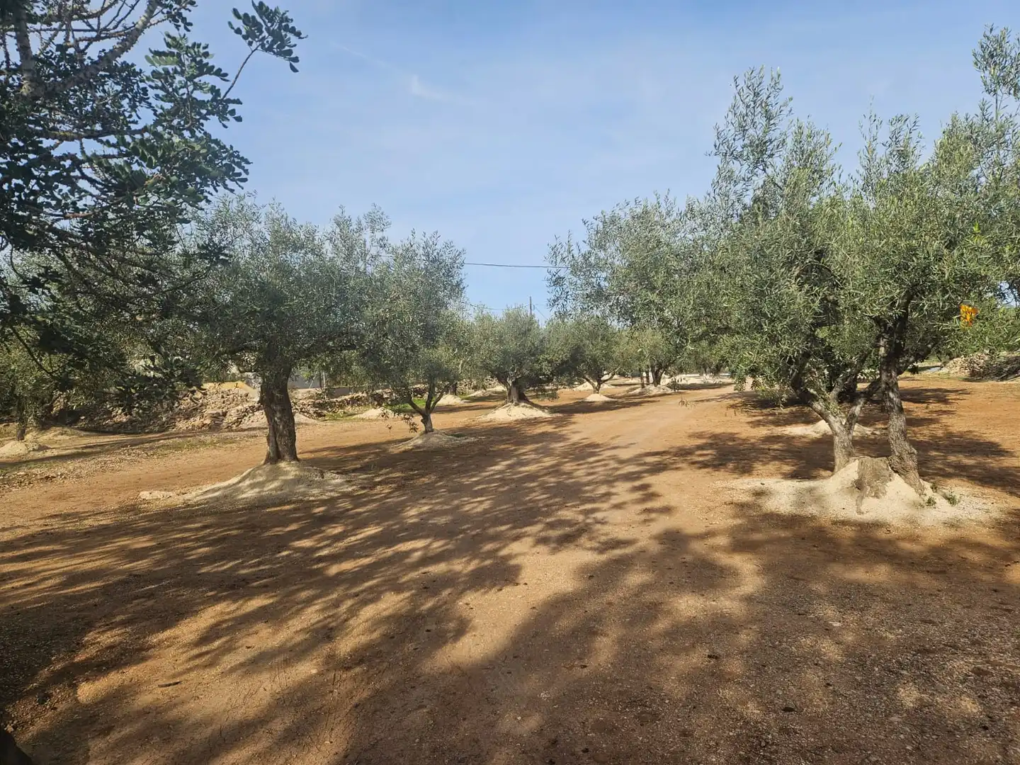 Rural land for sale in Aldover, imagen 30