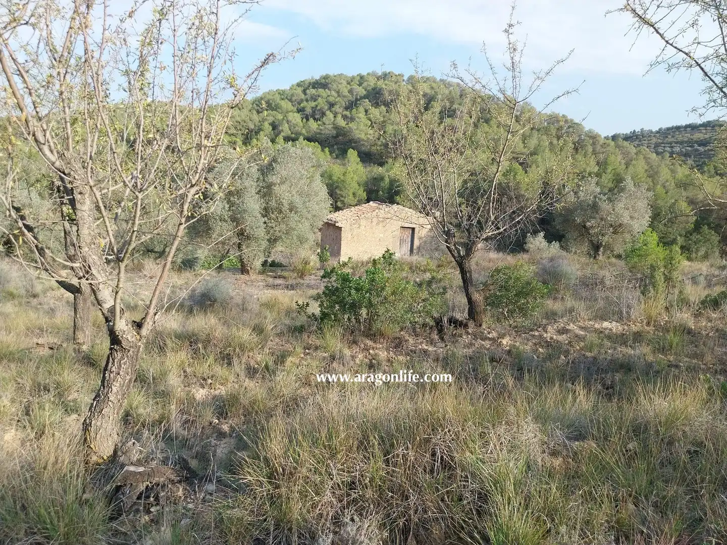 Finca rústica en venda en Caseres
