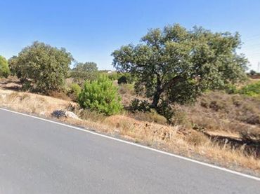 Rural land for sale in Lepe