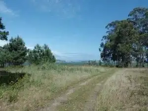 Residential land for sale in Noalla, imagen 7