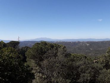 Terreni e lotti in vendita a Serra Brava