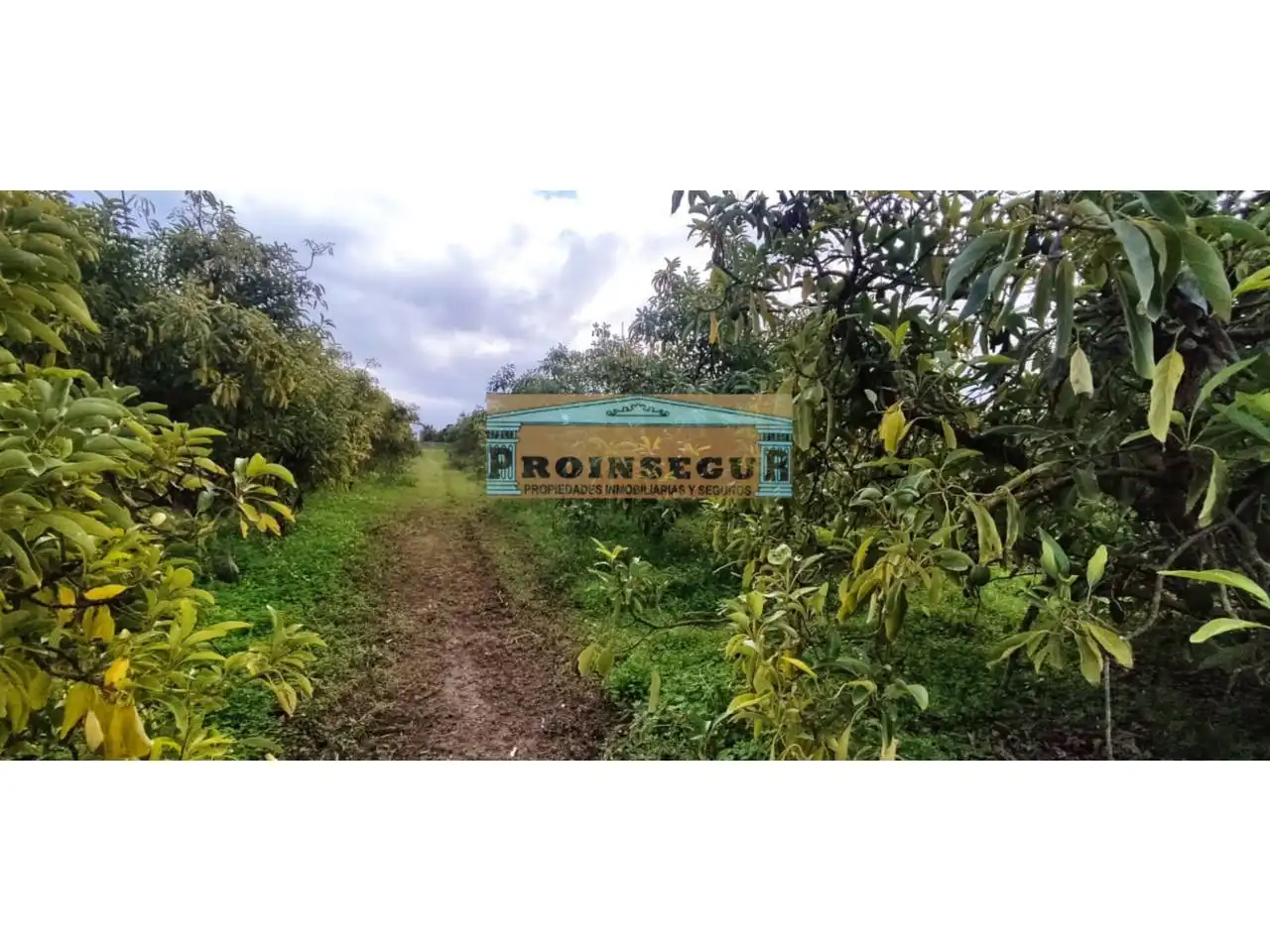 Rural land for sale in Camino Dehesa, imagen 3