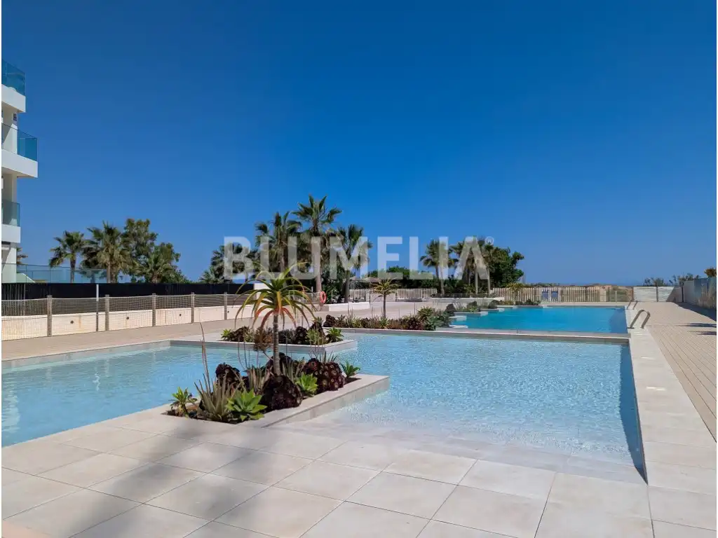Penthouse mit Pool zum Verkauf in Las Marinas / Les Marines, imagen 3