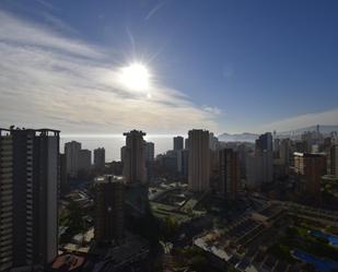 Vista exterior de Apartament en venda en Benidorm amb Aire condicionat, Calefacció i Jardí privat