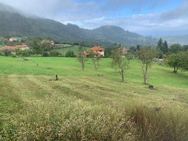 Terreno residencial en Venta en Fano