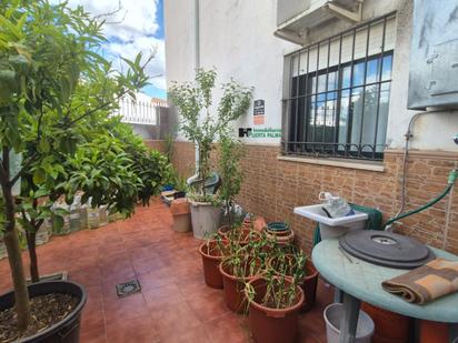 Jardí de Casa adosada en venda en Olivenza amb Aire condicionat i Balcó