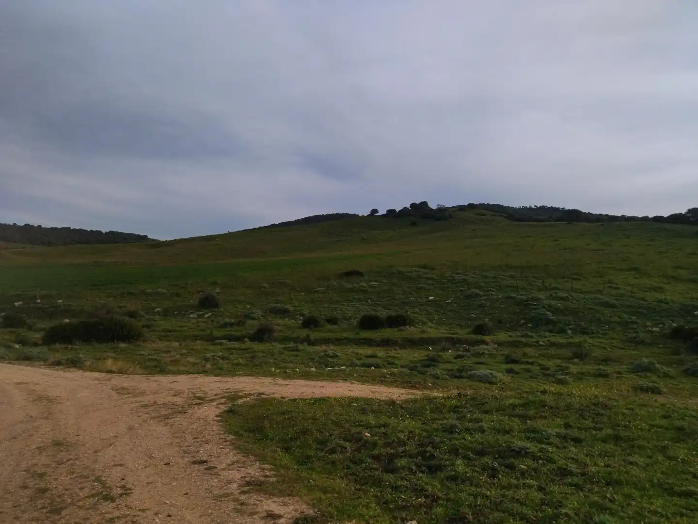 Terreni e lotti in vendita a Medina Sidonia, imagen 37