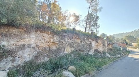 Con vistas y económico!, imatge 4