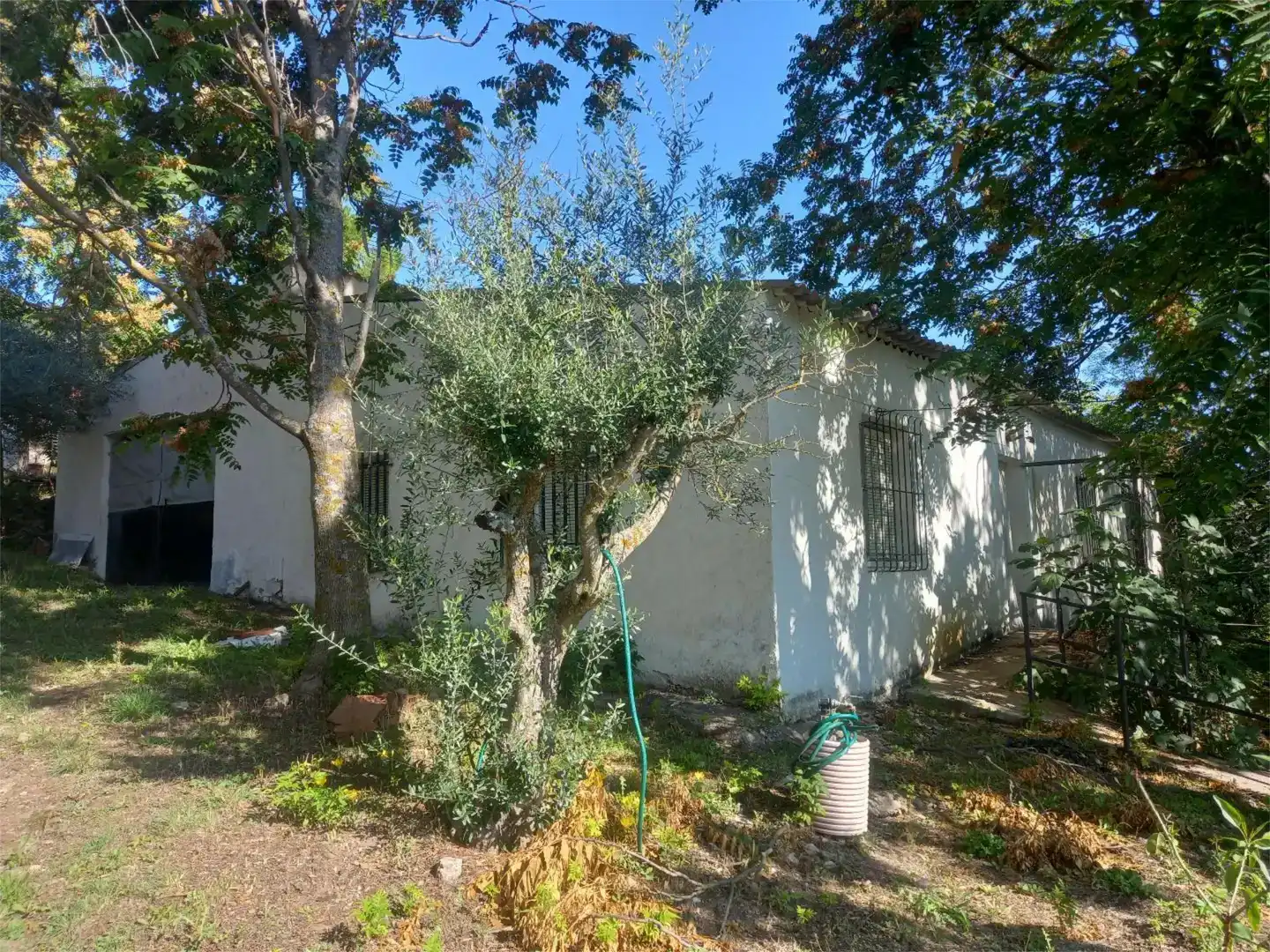 Jardí de Casa o xalet en venda en Ambite amb Piscina