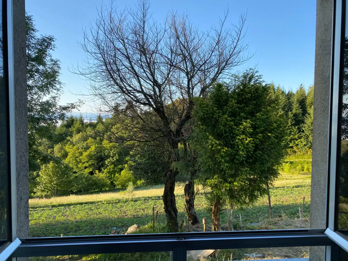 Finca rústica en venda en Negueira de Muñiz  amb Moblat