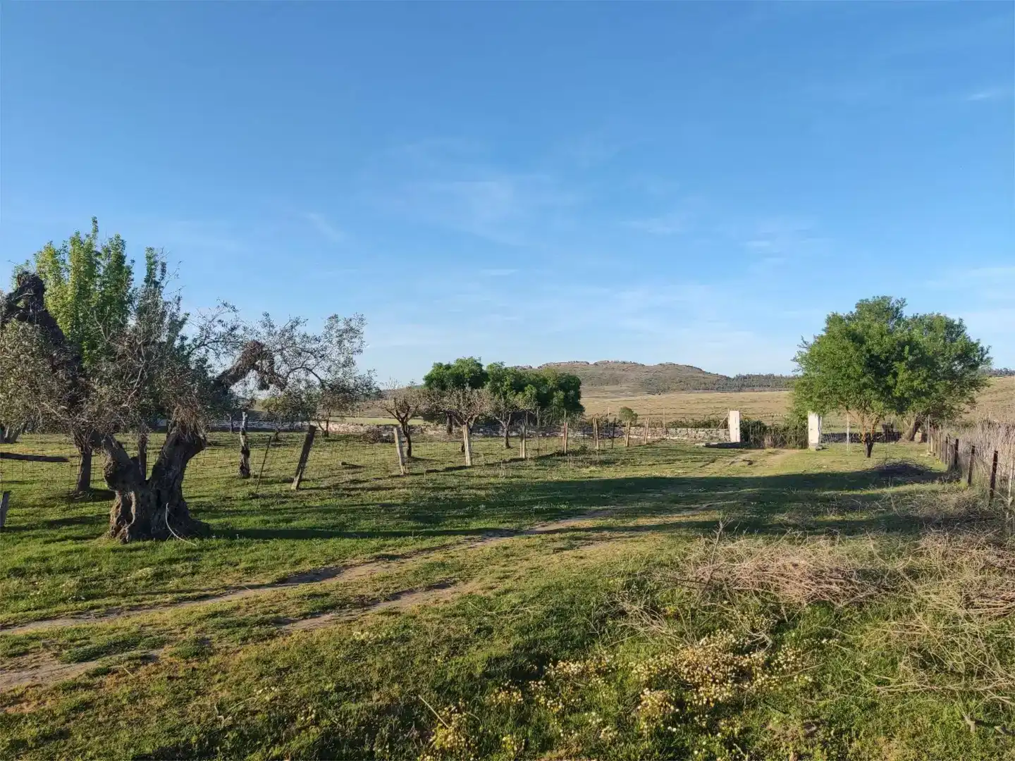 Terreno en venta en Alconera