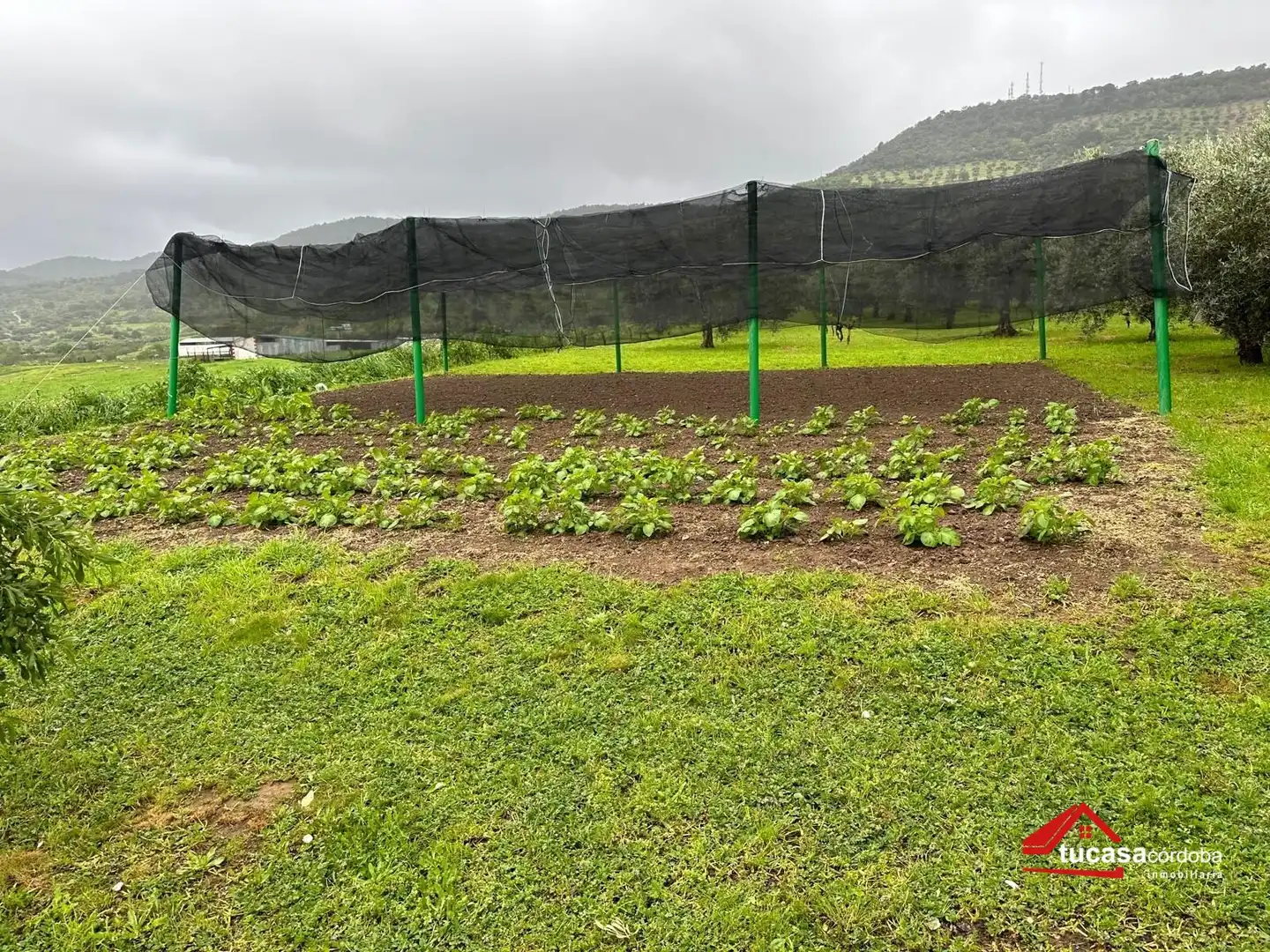 Terreno rustico in vendita a Villanueva del Rey, imagen 47
