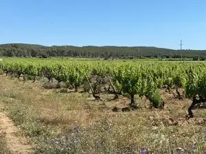 Terreno en venta en L'Arboç