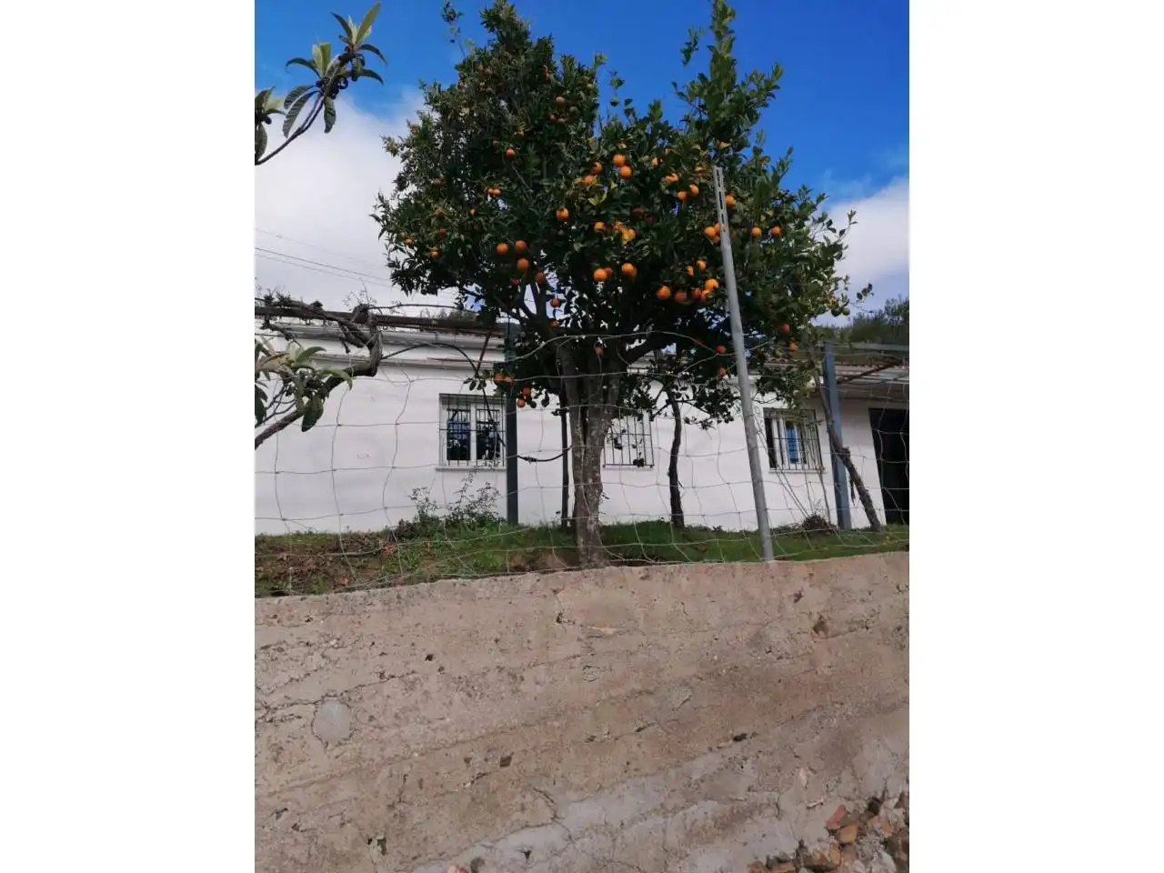 Casa rustica in vendita a Benalauría, imagen 9
