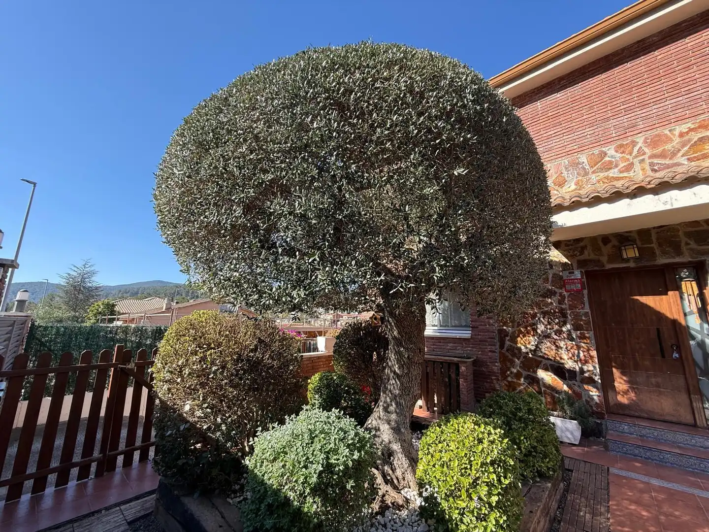Jardí de Casa o xalet en venda en Cervelló amb Calefacció, Jardí privat i Parquet