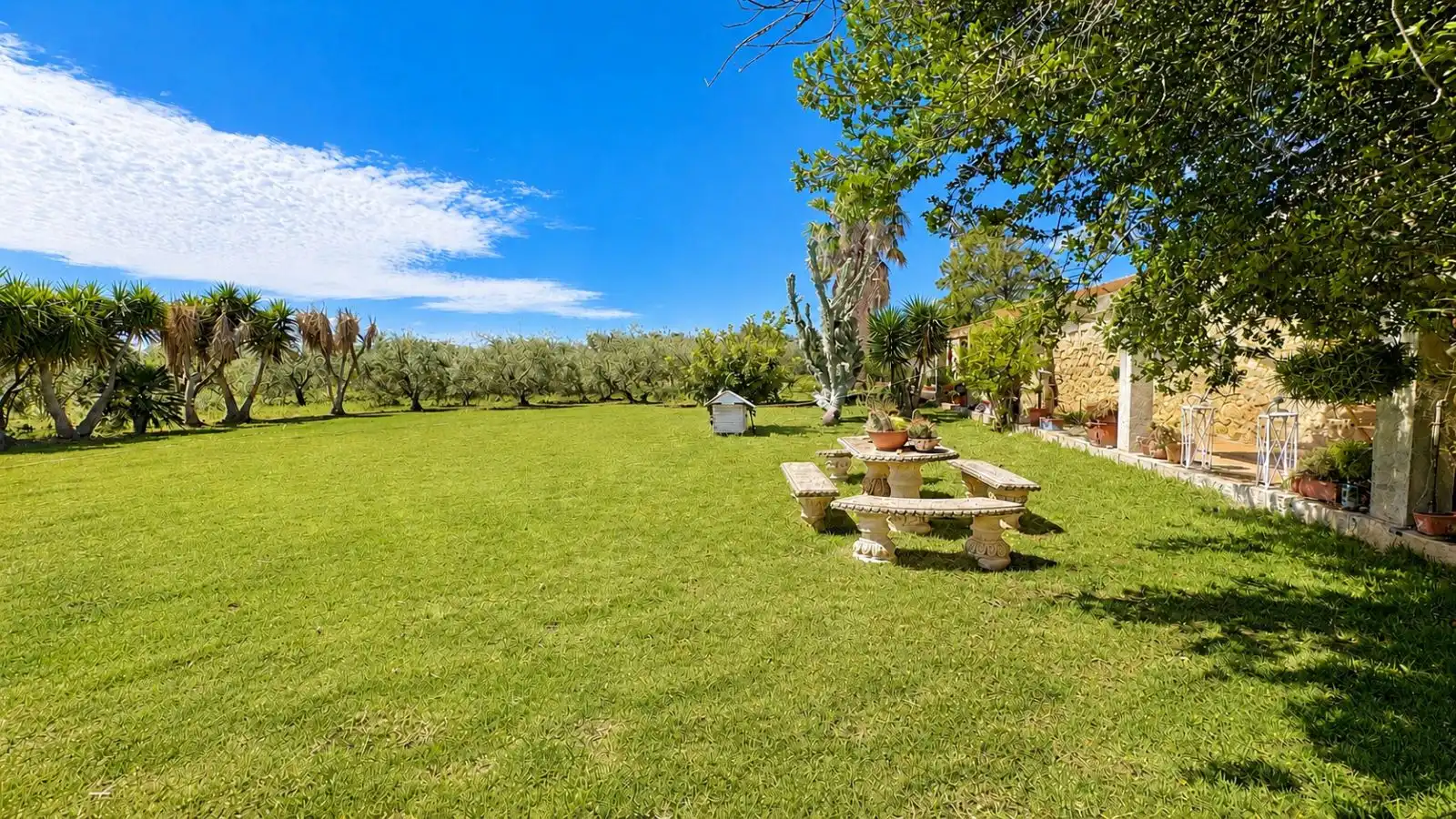 Maison rustique avec terrasse à vendre à Sa Pobla, imagen 21