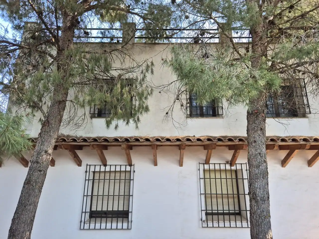 Exterior view of Country homes for sale in Campo de Criptana  with Private garden, Terrace and Swimming Pool