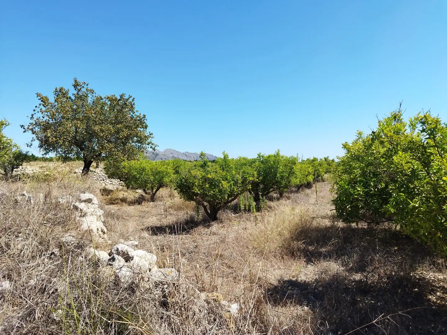 Residential land for sale in Orba, imagen 7