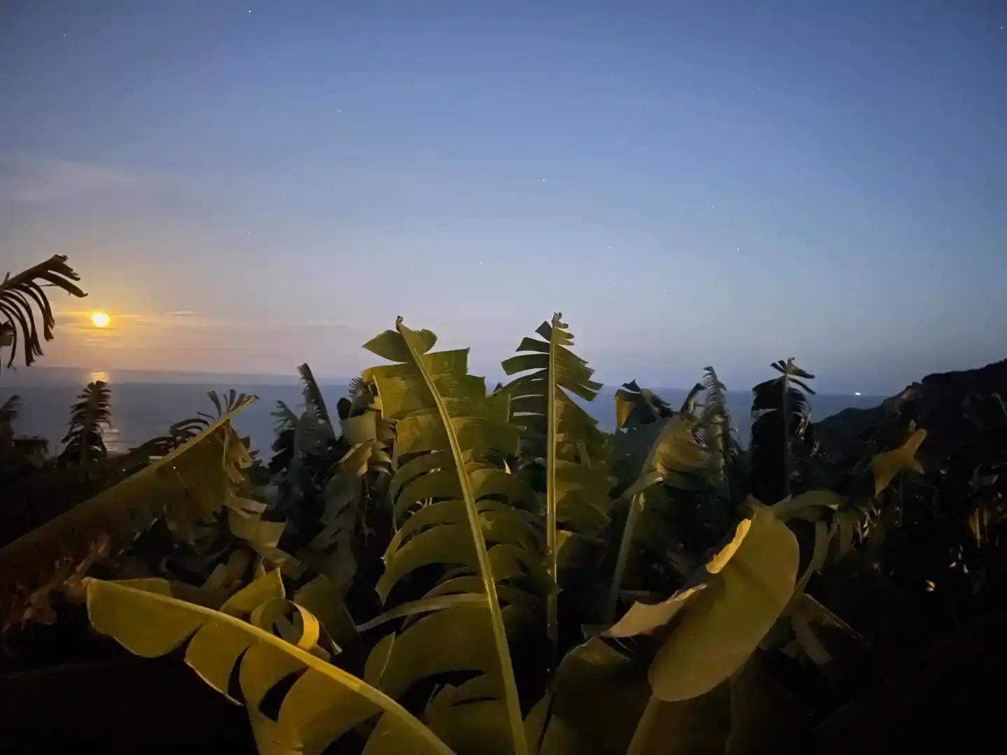 Vista exterior de Apartament de lloguer en Barlovento amb Jardí privat i Moblat