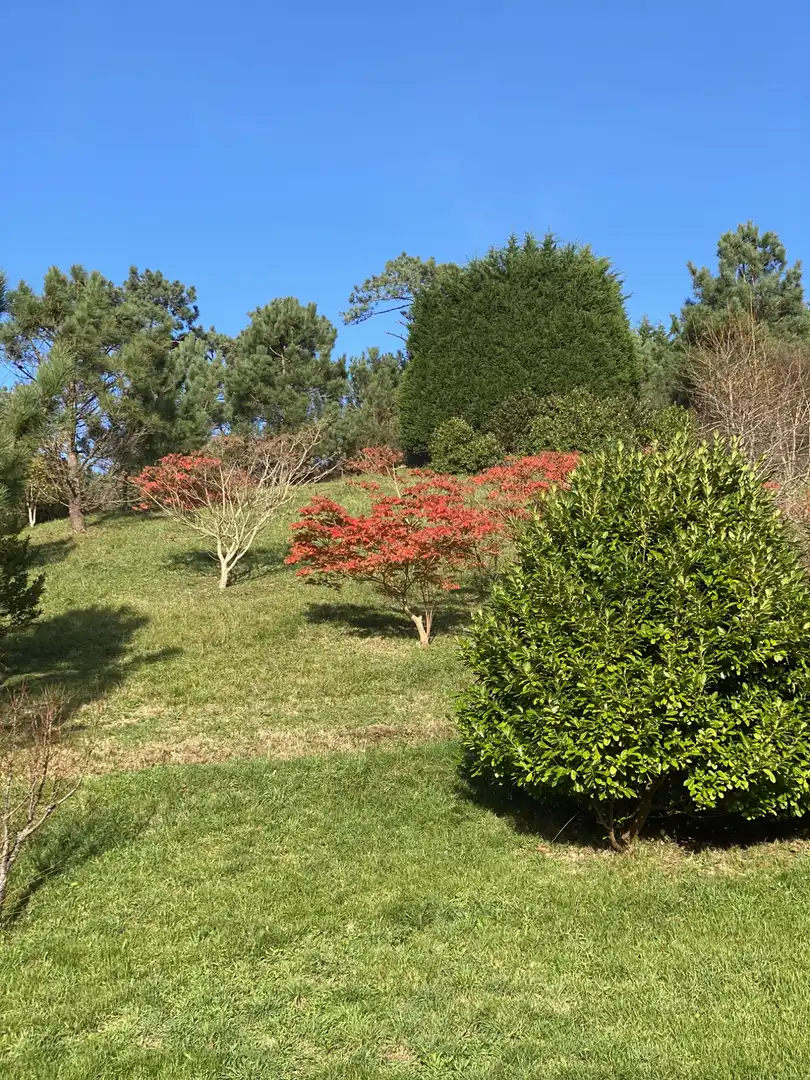 Edificio en venta en Luarca - Camino de Portizuelo, Valdés - Luarca