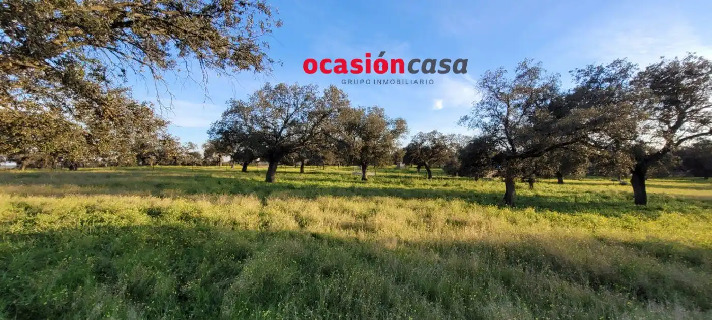 Casa rústica en venda a Pozoblanco, imagen 2
