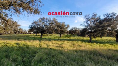 Foto 2 de Finca rústica en venda a Pozoblanco, Córdoba