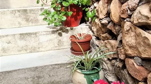 Foto 3 de Finca rústica en venda a Polop, Alicante