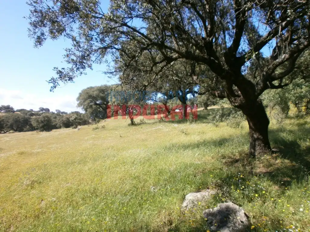 Casa rustica in vendita a Millanes, imagen 5