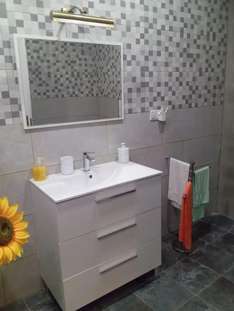House for sale in Campo de Criptana, imagen 36