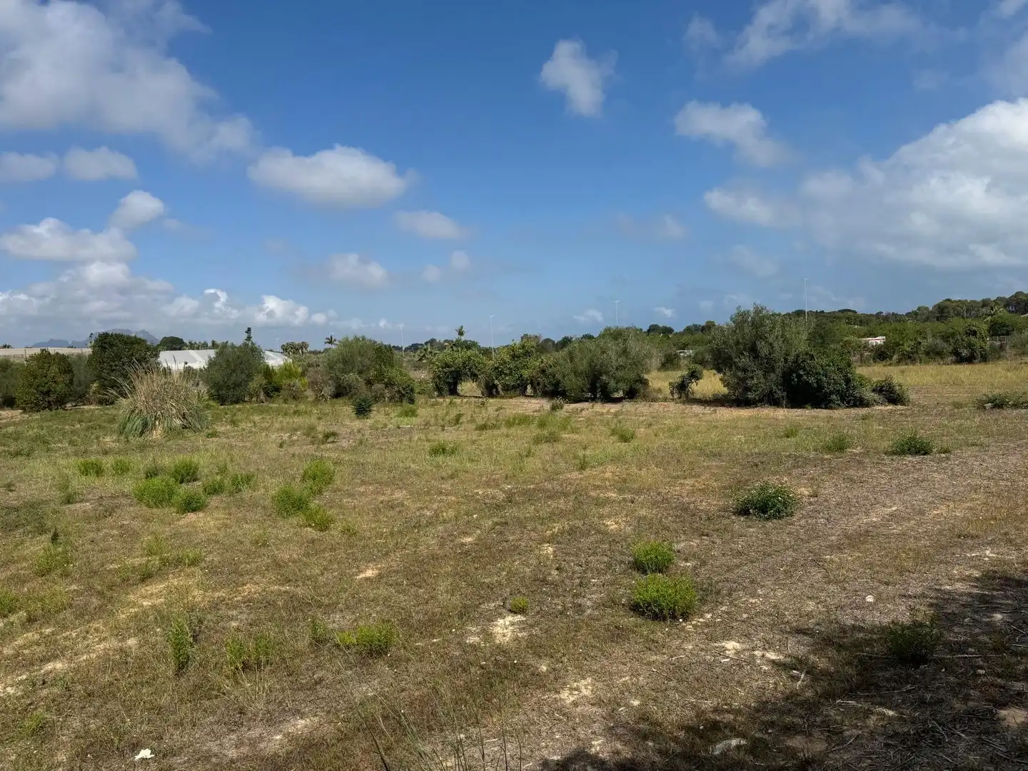 Casa rústica en venta en La Pedrera - Vessanes, imagen 4