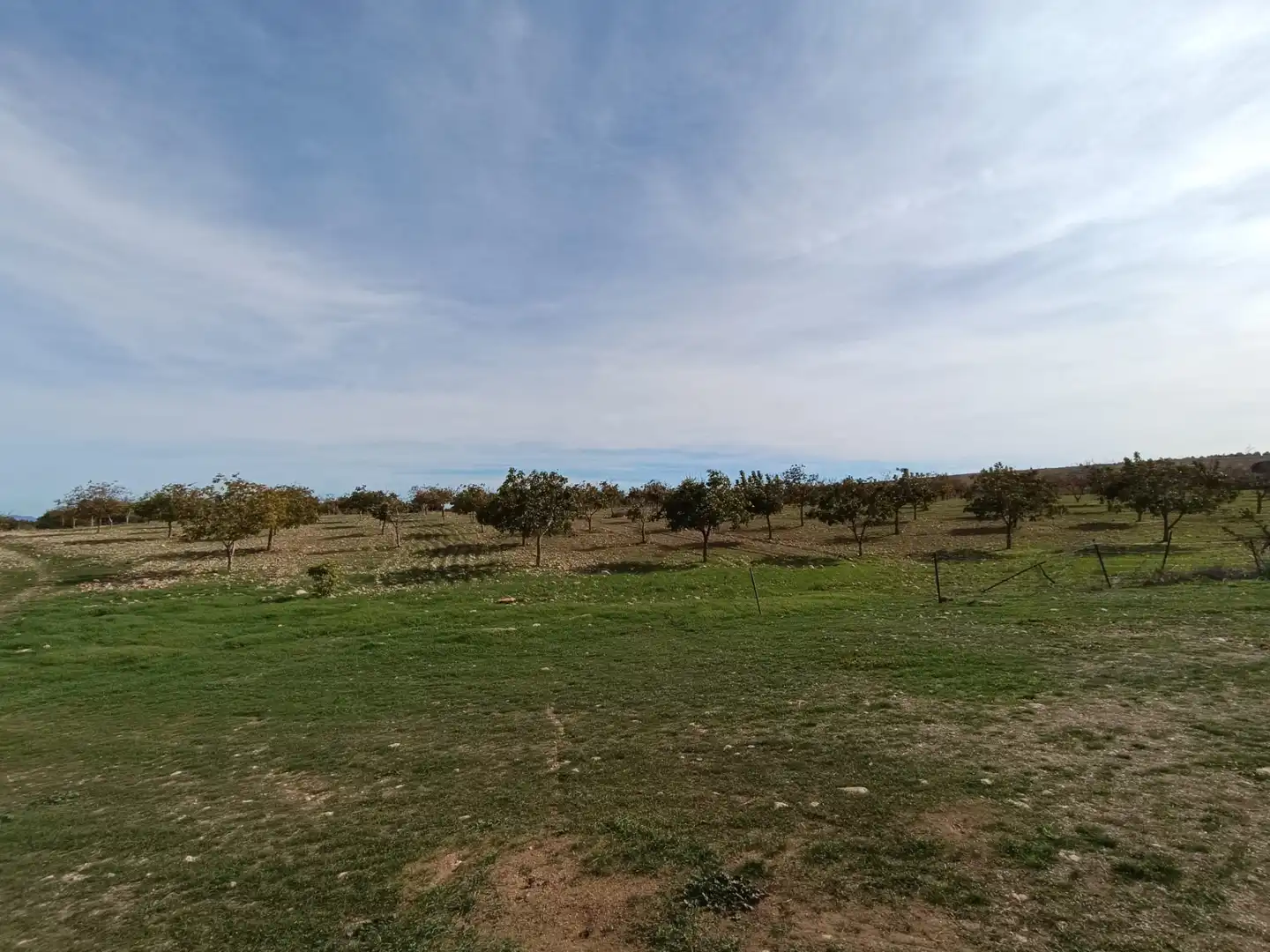 Terreno rustico in vendita a N/A, imagen 15