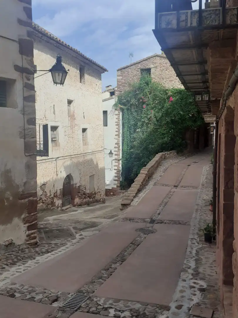 Haus zum Verkauf in Carrer Aguilera Cerni 26