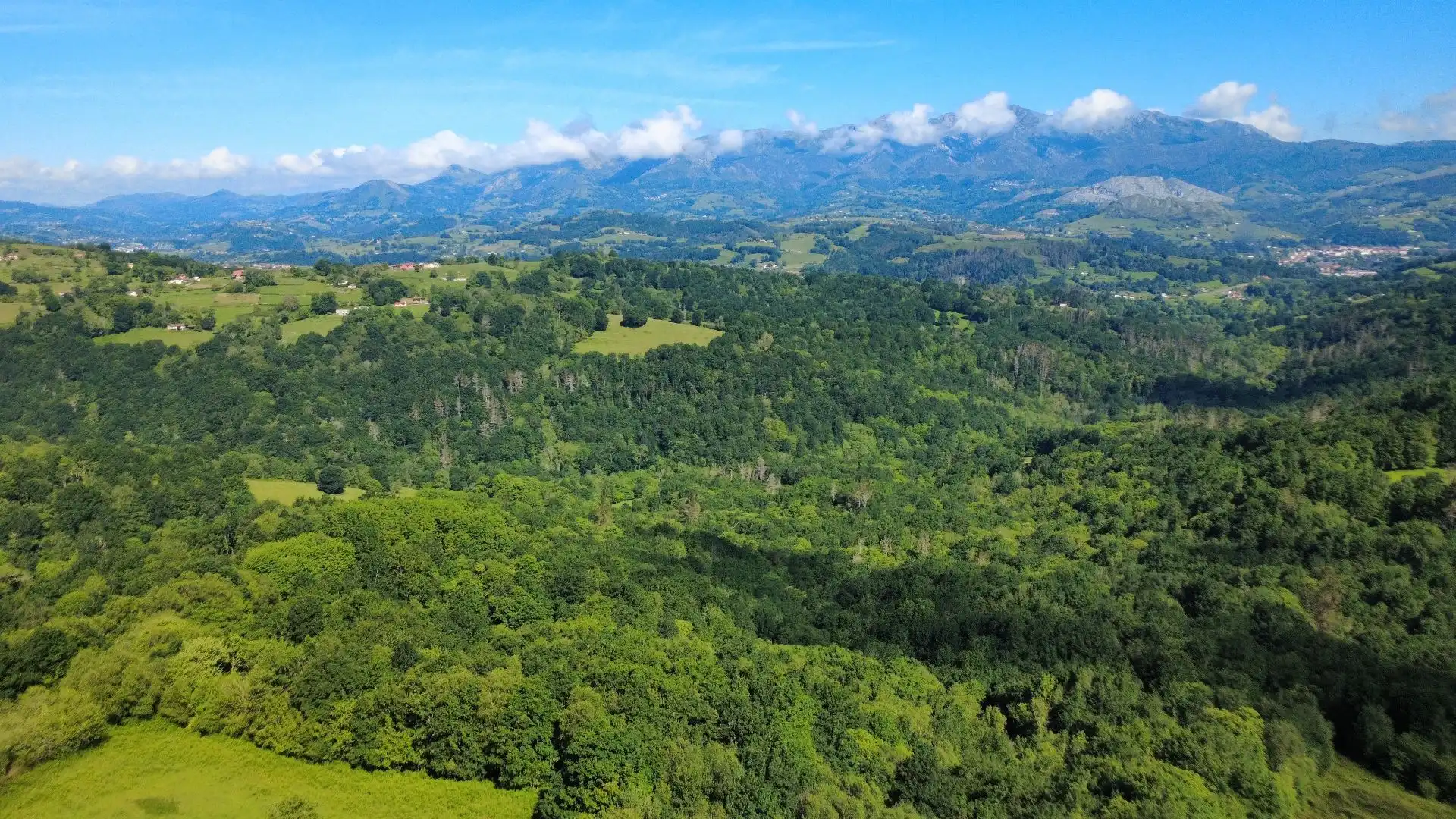 Terrenos y solares en venta en Parres, imagen 7