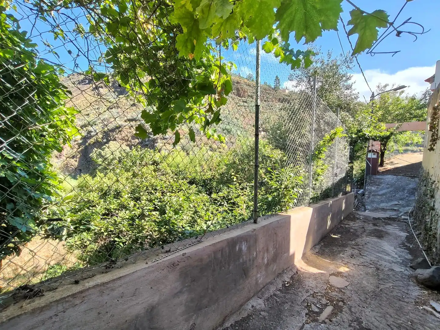 Jardí de Casa o xalet en venda en Valsequillo de Gran Canaria amb Jardí privat