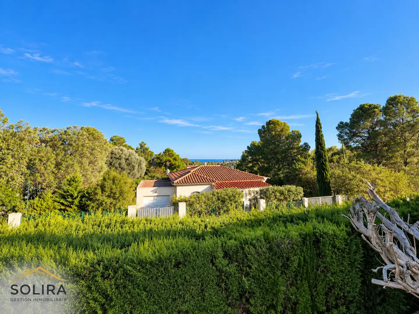 Detached house with pool for sale in Carrer de la Violeta 4, imagen 33