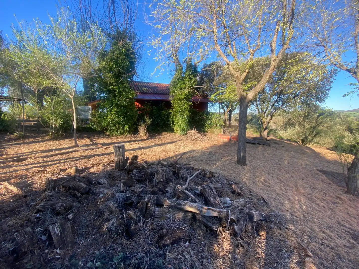 Villa zum Verkauf in Calle Real, imagen 33