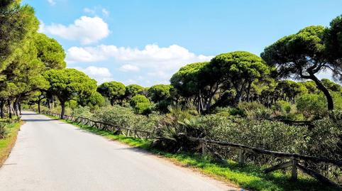 Photo 2 of Land for sale in Pasaje Rota-235, 42, Las Tres Piedras - Costa Ballena, Chipiona