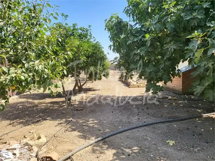 Casa rústica en venda a Écija, imagen 16