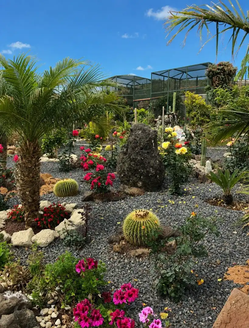 Jardí de Casa o xalet en venda en San Miguel de Abona amb Jardí privat, Traster i Piscina
